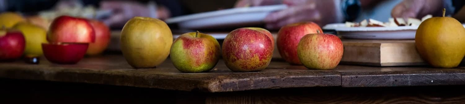 Farm photography at Scott Farm Orchard, Dummerston, Vermont.