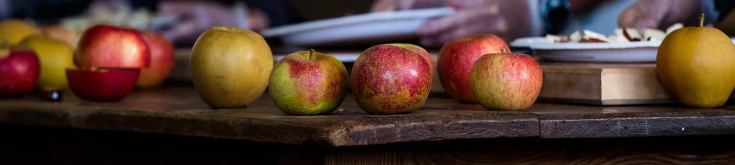 Farm photography at Scott Farm Orchard, Dummerston, Vermont.