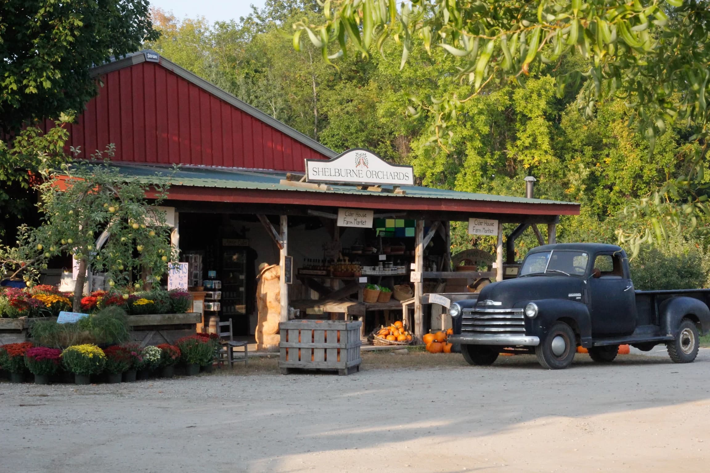 Farm photography at Shelburne Orchards, Shelburne, Vermont.
