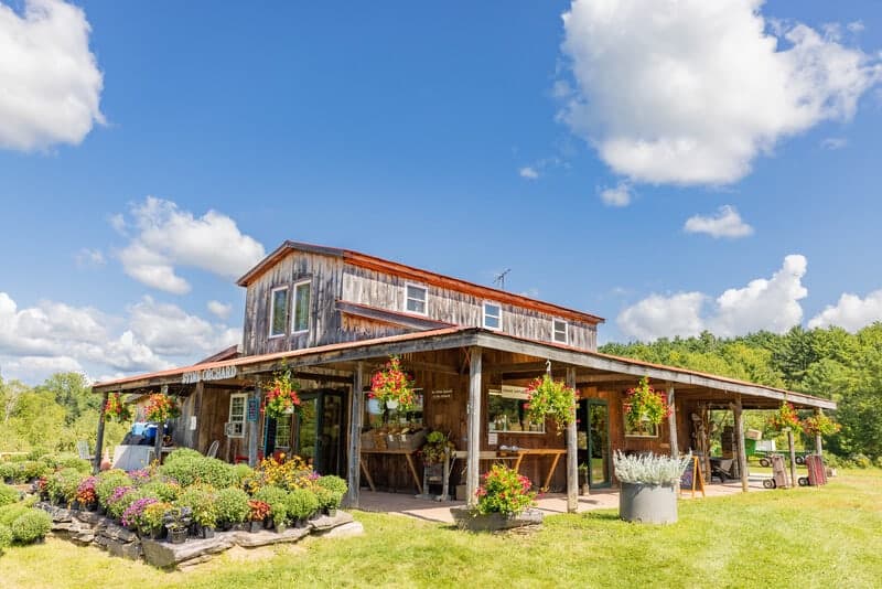 Farm photography at Stine Orchard, Monkton, Vermont.