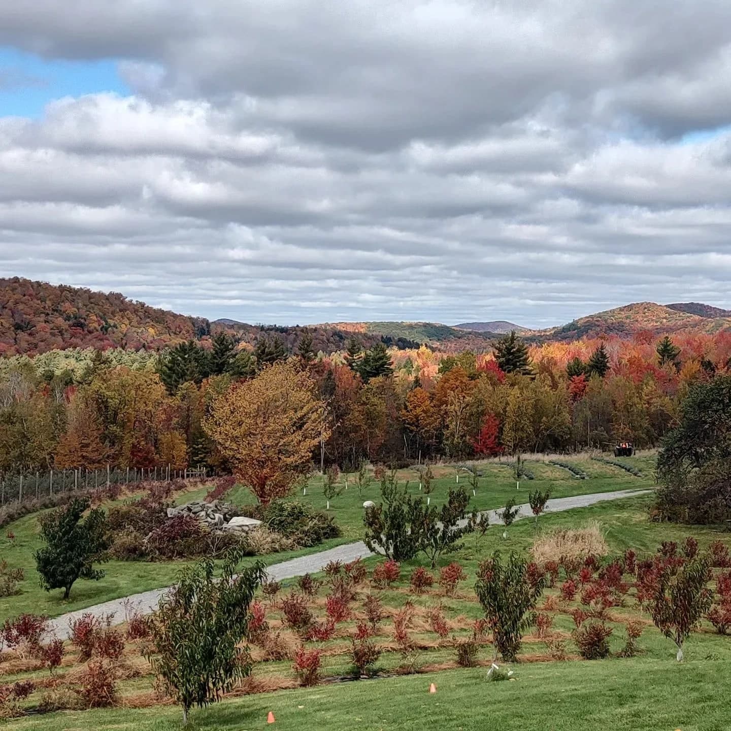 Farm photography at Stony Grove, Jeffersonville, Vermont.