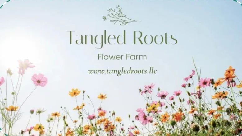 Farm photography at Tangled Roots Farm, West Glover, Vermont.