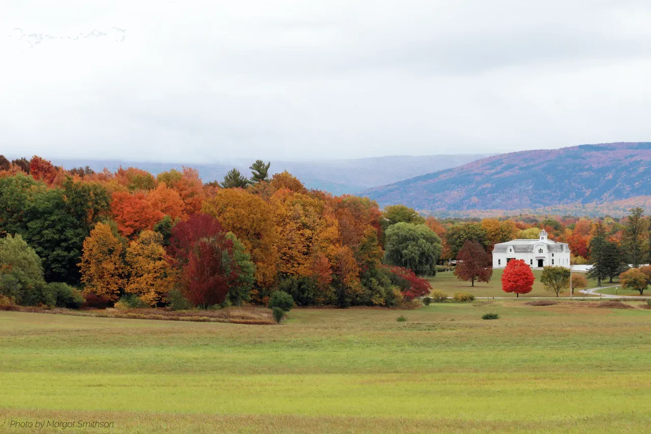 Farm photography at UVM Morgan Horse Farm, Weybridge, Vermont.