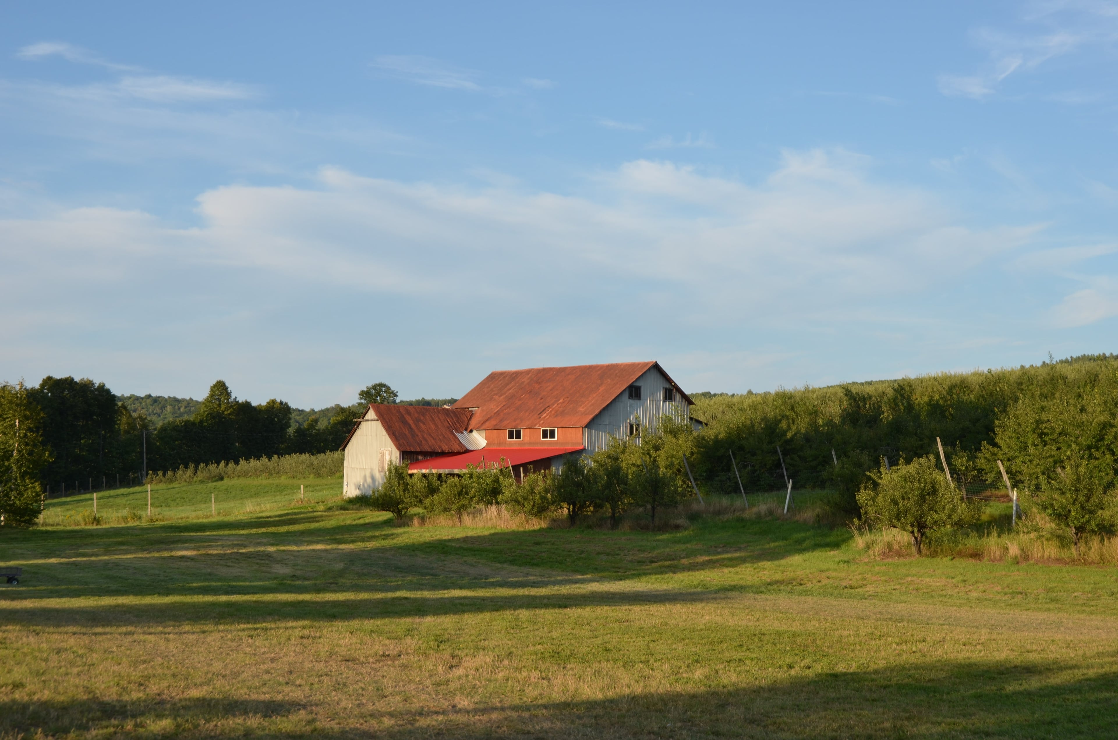 Farm photography at Wellwood Orchards, Springfield, Vermont.