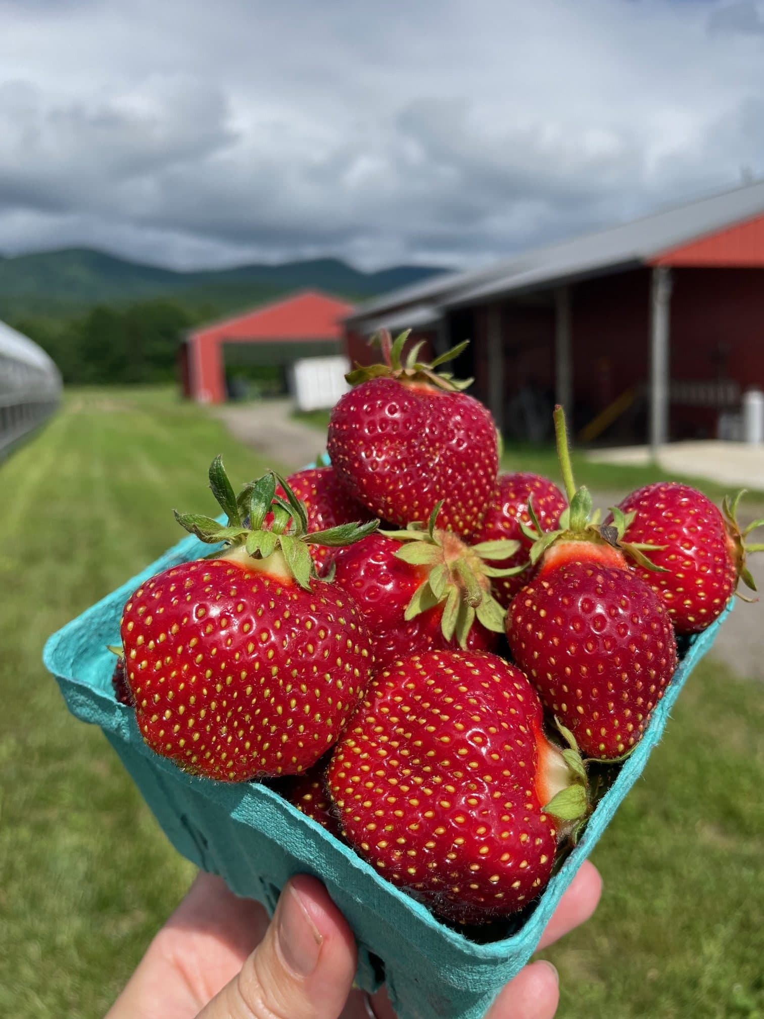 Woods Market Garden: garden brandon vt gallery item 1 farmstand